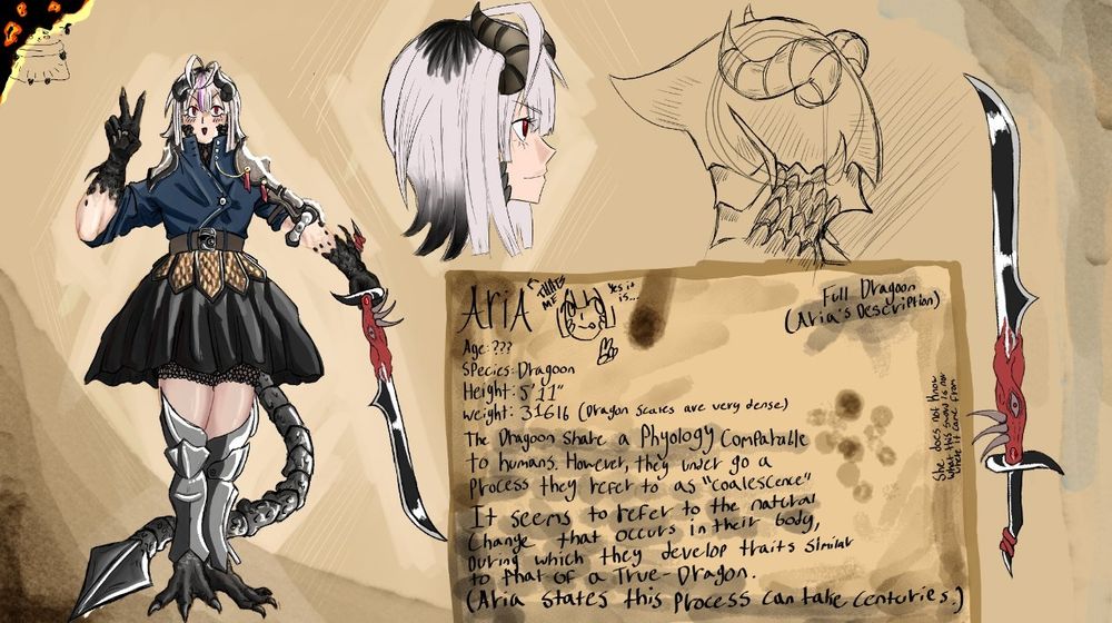 Dragon Girl Aria character sheet. This was a design I did for one of my uni classes. She had a military coat and armored skirt, with some light armor on her arms as well. Her feet and hands are dragon appendages instead of cutesy anime style. Lots of lore and information, but most if it doesn't matter! 