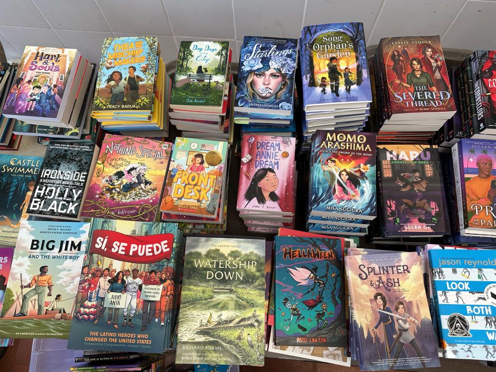 Table filled with graphic novels and middle grade books