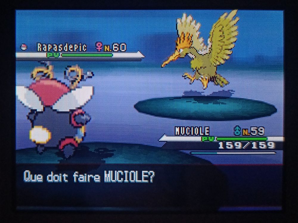 Photo d'une rencontre avec un Rapasdepic shiny
