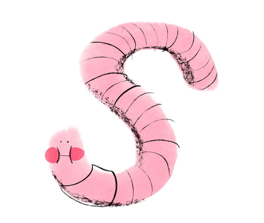 A drawing of a pink worm on a blank background. The worm has a watercolor texture and chubby cheeks. 