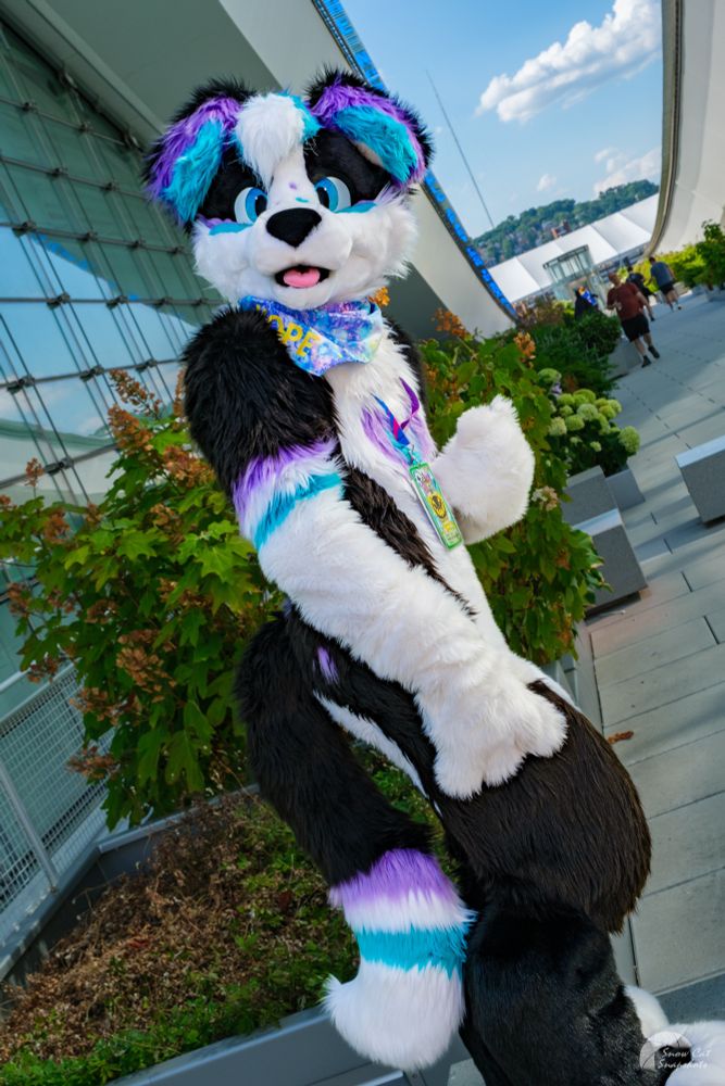 Hope at Anthrocon.