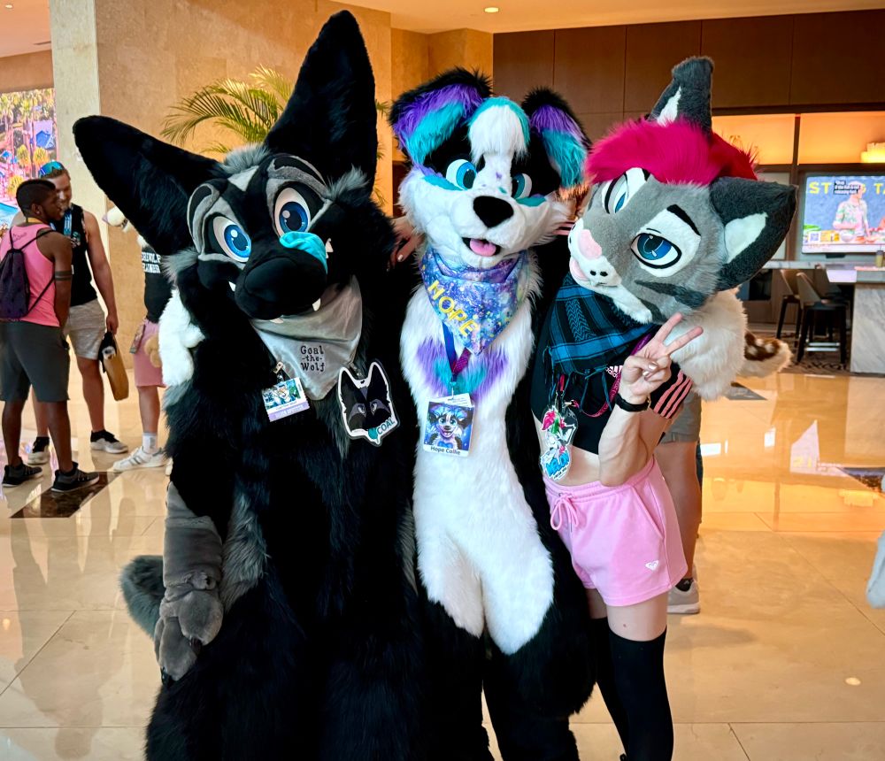 Coal, Hope, and Melon posing.