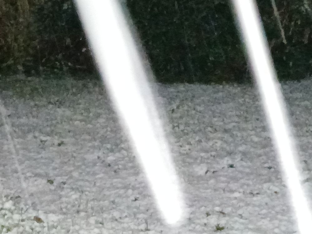 Mit Blitz und Zoom im dunklen hinaus auf die bereits weisse Wiese in den Schneefall hinein fotografiert. Durch das Bild verlaufen diagonal zwei weisse Streifen von fallenden Flocken.