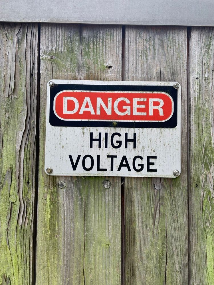 A sun on a railway brush in Chestnut Hill in Philadelphia saying “Danger: High Voltage”.