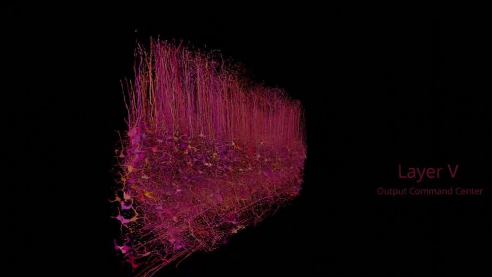 A Cubic Millimeter of Mouse Brain