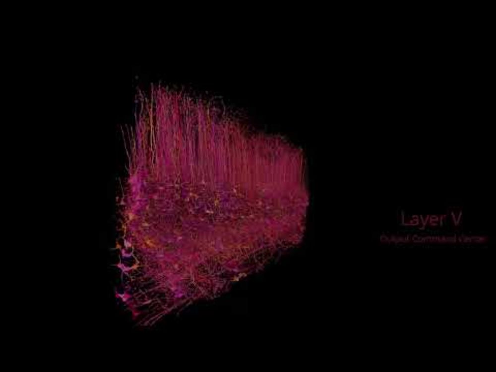 A Cubic Millimeter of Mouse Brain