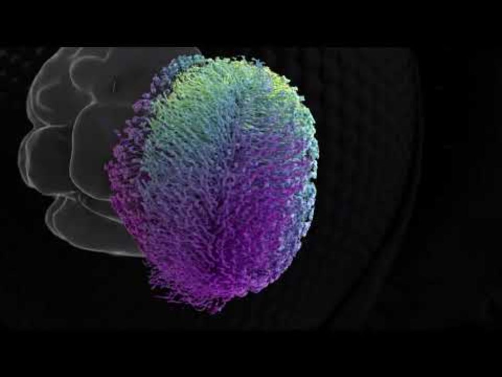 2024 Highlight Reel Quorumetrix Studio