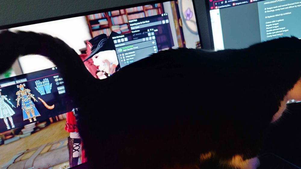 Eve jumped on my desk to get my attention 