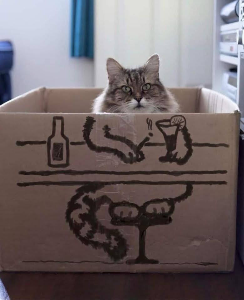 A grey, black and white cat sitting in a box with its head poking out. The rest of the cat’s body is drawn on the box to make it look like it’s sitting at a bar enjoying a cocktail with a cigarette between its paw, and a bottle of liquor/beer sitting nearby.
