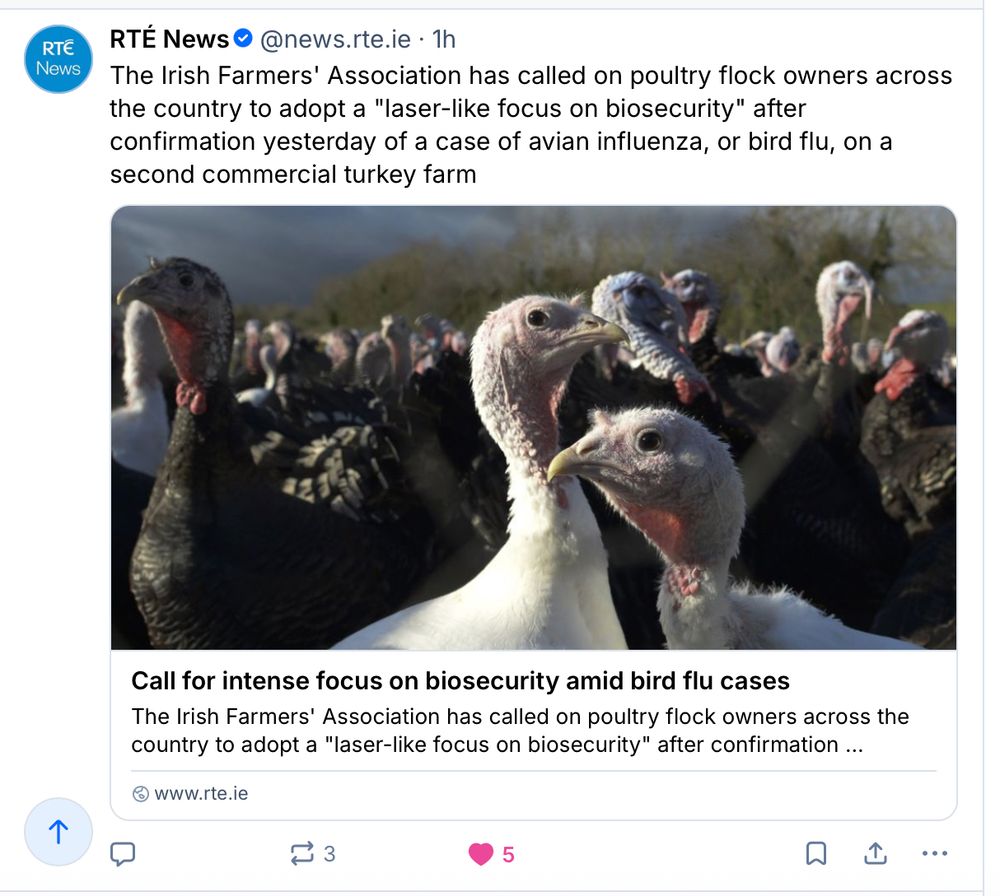 RTÉ news story about Irish farmers and a second case of avian flu in a commercial turkey farm.