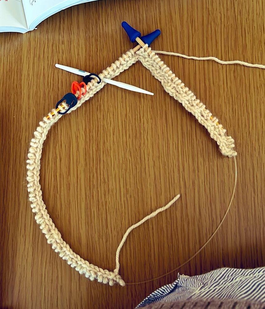 4号輪針、60cmにクリーム色の毛糸で作り目をしたところ