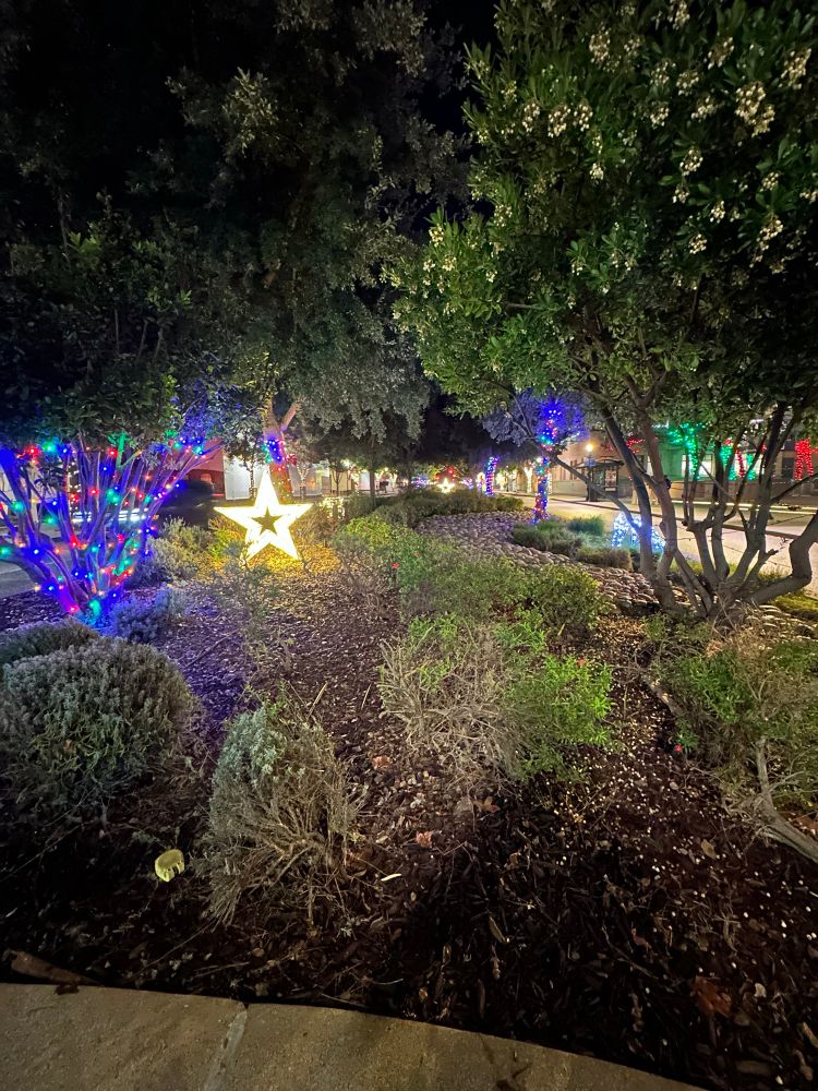 More holiday lights to cheer by.