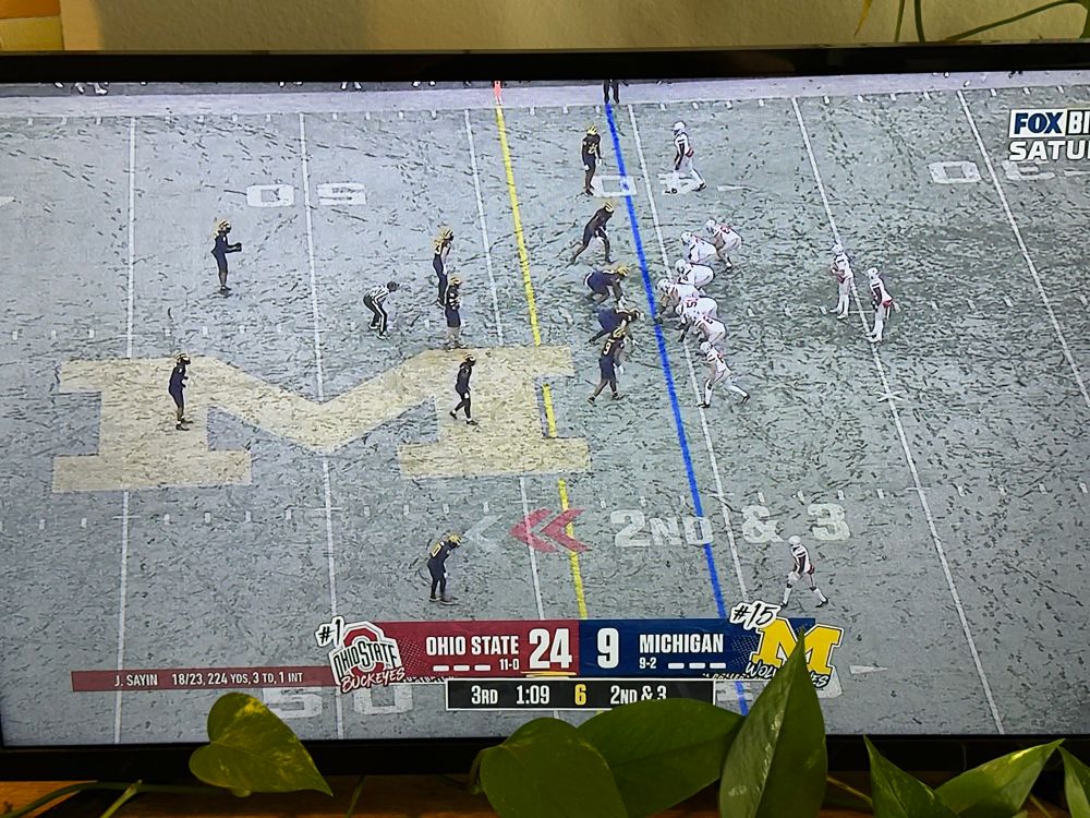 Must be dandruff or powdered sugar on the gridiron lol