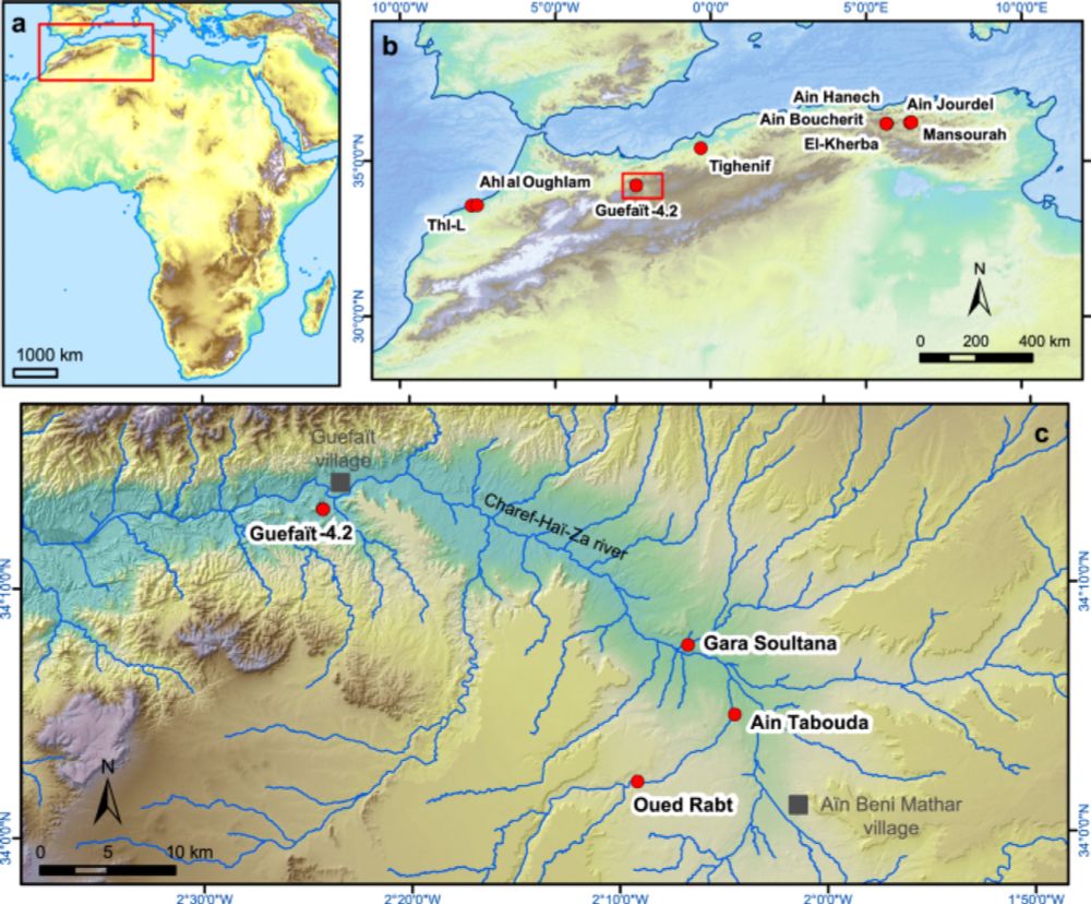 Arid, mosaic environments during the Plio-Pleistocene transition and early hominin dispersals in northern Africa - Nature Communications