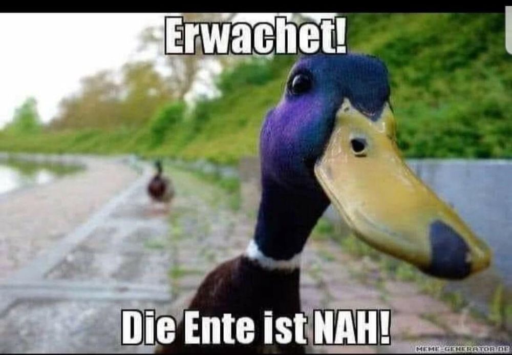 Erwachen! Die Ente ist NAH!