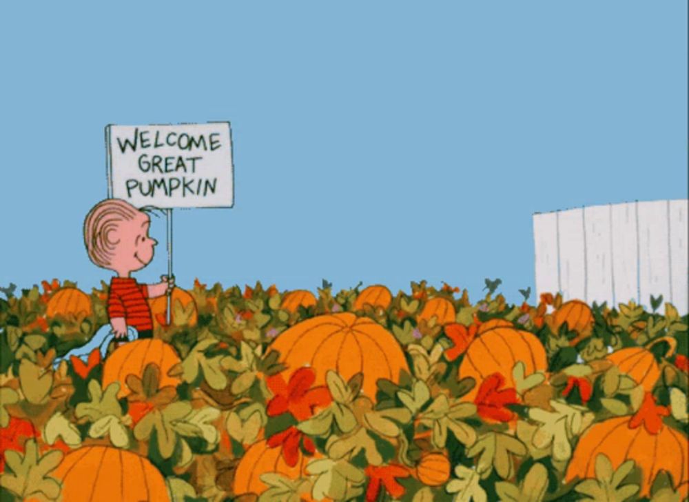 a cartoon of a boy in a pumpkin patch holding a welcome great pumpkin sign