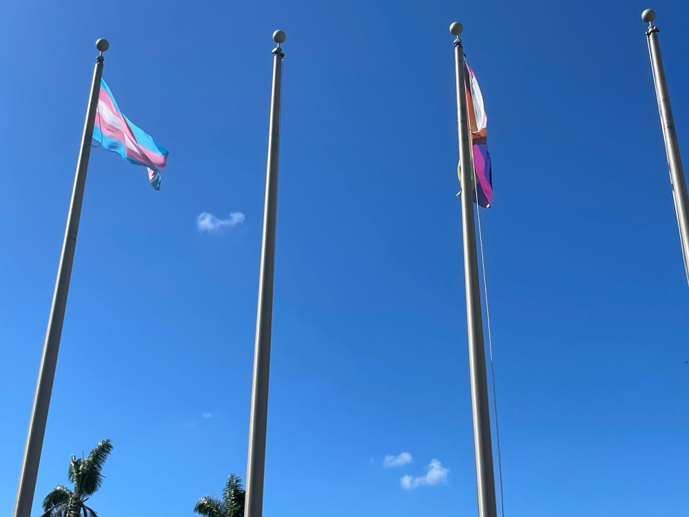 The trans flag atop a flagpole beside the LGBTQ+ progress flag atop another flagpole. The flags are waving in a blue sky. 