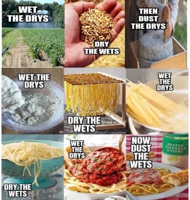 Meme with 9 parts.
WET THE DRYS (with a photo of a field)
DRY THE WETS (with a photo of a hand holding wheat grain)
THEN DUST THE DRYS (with a photo of a person using a small mill stone)
WET THE DRYS (with a photo of flour being poured into a bowl)
DRY THE WETS (with a photo of homemade pasta being dried on a rack)
WET THE DRYS (with a photo of pasta being boiled)
DRY THE WETS (with a photo of pasta being drained in a colander)
WET THE DRYS (with a photo of tomato sauce being added to passion a plate)
NOW DUST THE WETS (with a photo of pasta and tomato sauce with parmesan cheese dusted on top and a container of parmesan cheese next to it)