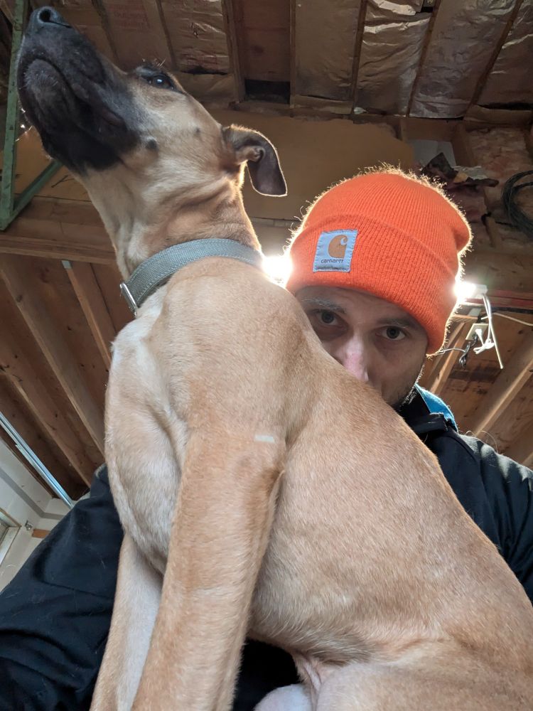 Cute pup in a cold home garage gym