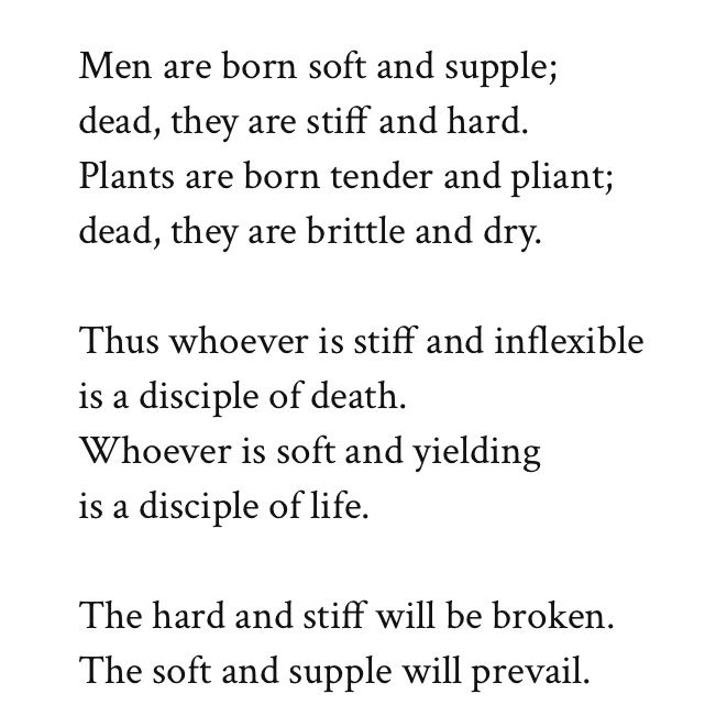 Men are born soft and supple;
dead, they are stiff and hard.
Plants are born tender and pliant;
dead, they are brittle and dry.

Thus whoever is stiff and inflexible
is a disciple of death.
Whoever is soft and yielding
is a disciple of life.

The hard and stiff will be broken.
The soft and supple will prevail.