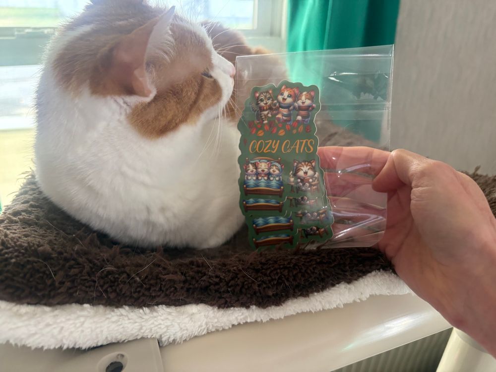 Jolene is an orange and white cat. She is sniffing a pack of cozy cat stickers. 