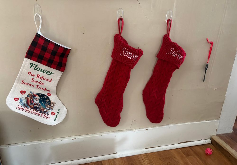 A photo of 3 Christmas stockings hanging on the wall and Santa’s magic key. Flower’s stocking is on the left, Simon’s is in the middle, then Jolene’s. 