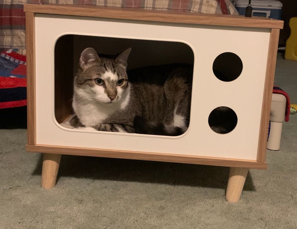 Jude is a tabby cat with white. He is laying in a piece of cat furniture that looks like a tv set. He is in the screen part of it. 