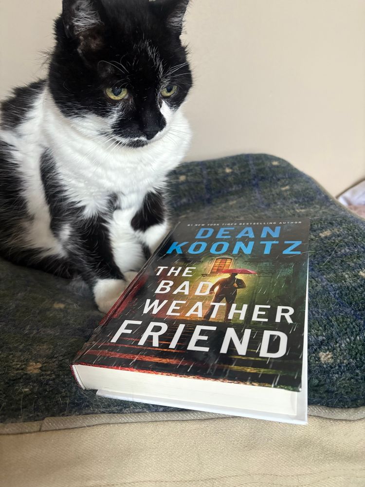 Flower is a black and white cat. She is on a green square cat bed next to a book. The book is The Bad Weather Friend by Dean Koontz. 