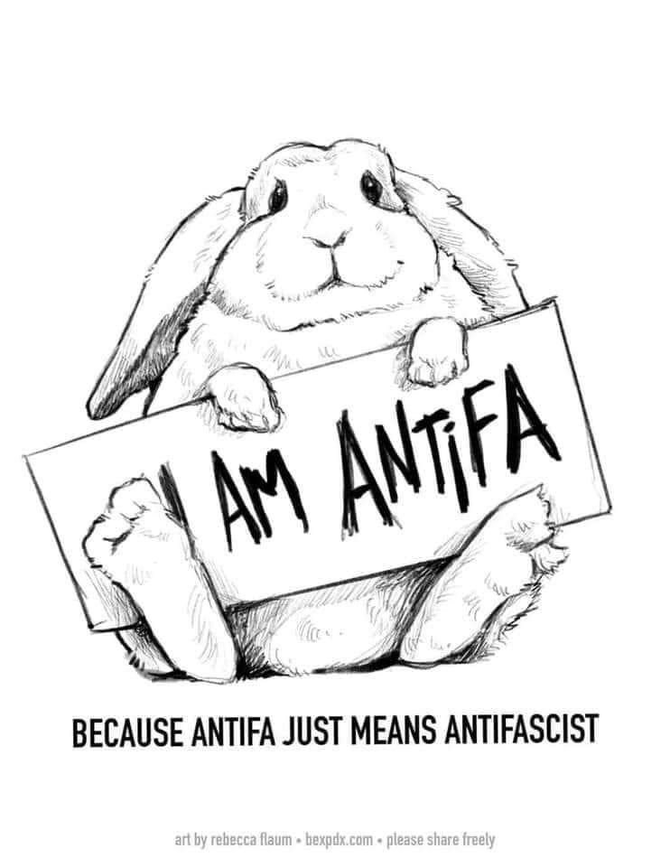 Black and white meme with a rabbit holding a sign that states I AM ANTIFA