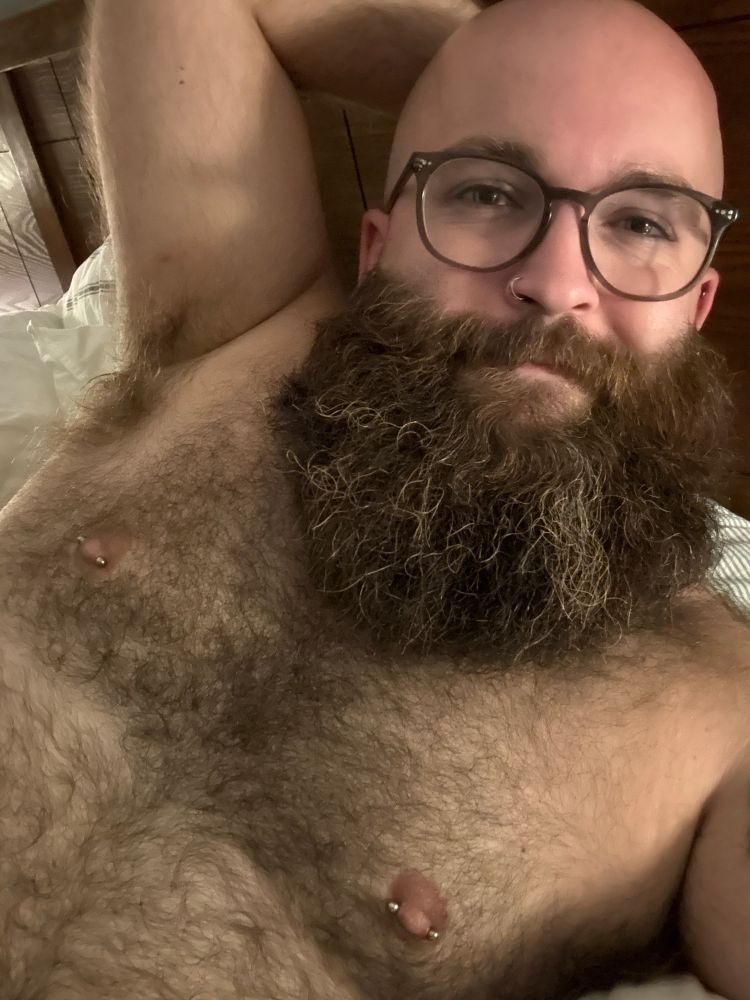 A selfie of the author of this post, a bald nonbinary person with a big dark brown beard, lying shirtless in bed. They're visible from the mid-torso up and they've got their head propped up on their arm.