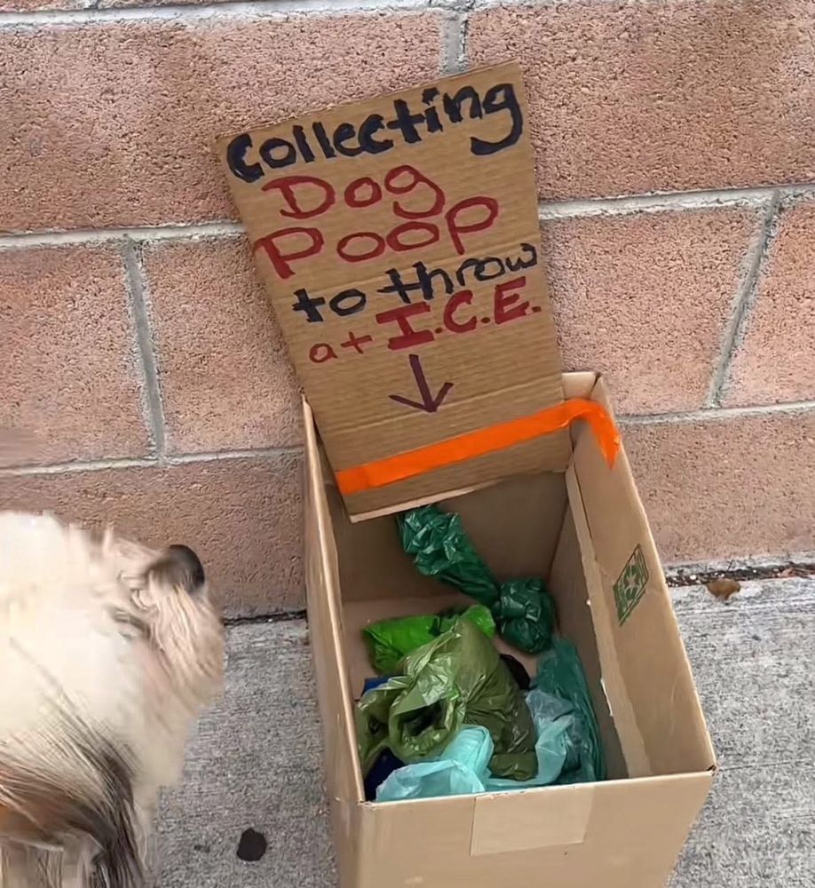 Collecting dog poop to throw
 at ICE