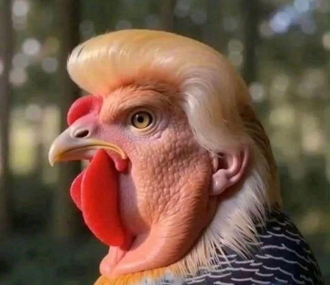 Comment image