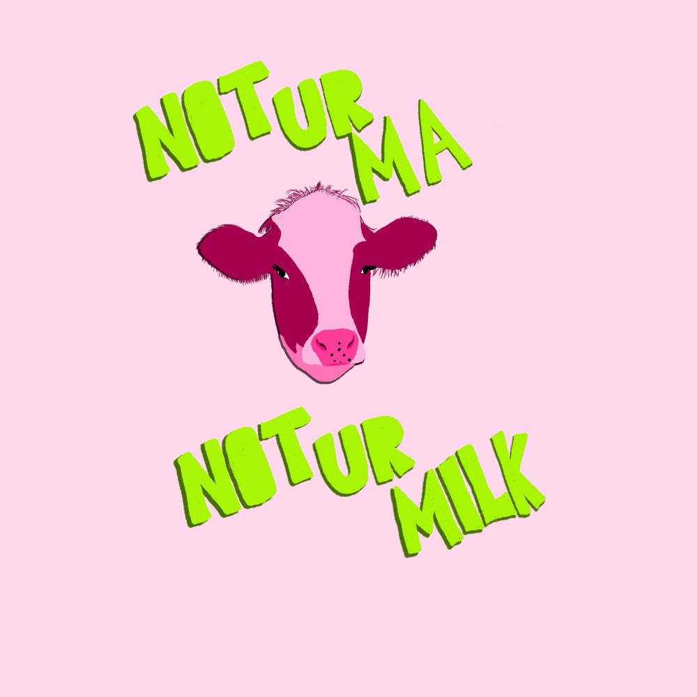 pink cow on a pink background with green block text reading 'not ur ma' above the cow and 'not ur milk' below 