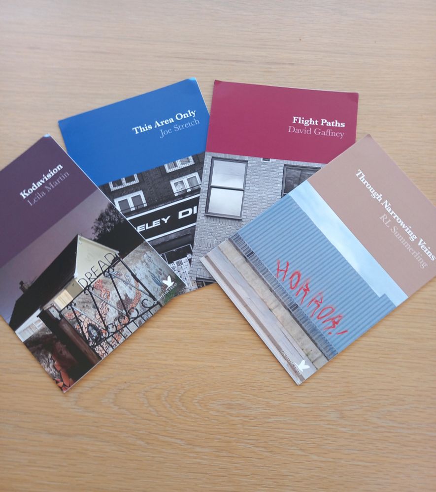 Four new short stories by Joe Stretch, David Gaffney, Leila Martin and RL Summerling, published by Nightjar Press