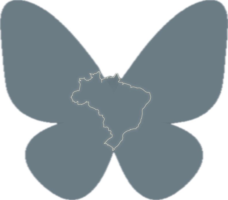 Logotipo da Rede Social BlueSky em tom cinza, com o contorno do mapa do Brasil ao centro, como se o Brasil fosse o corpo da borboleta do logotipo
