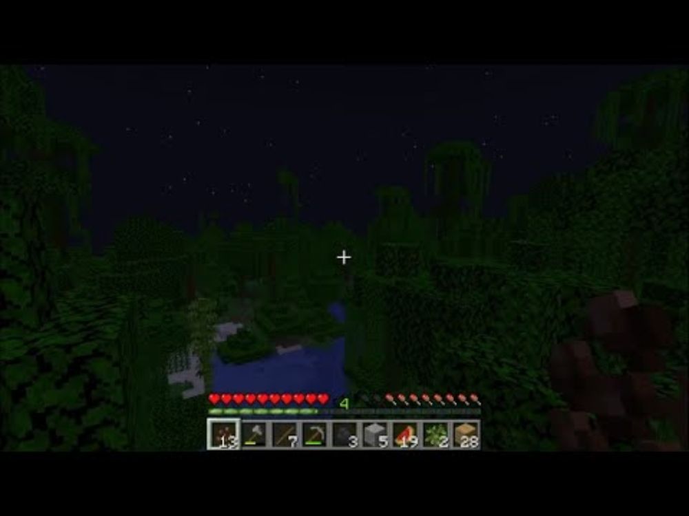 I'm still lost in the Jungle #2