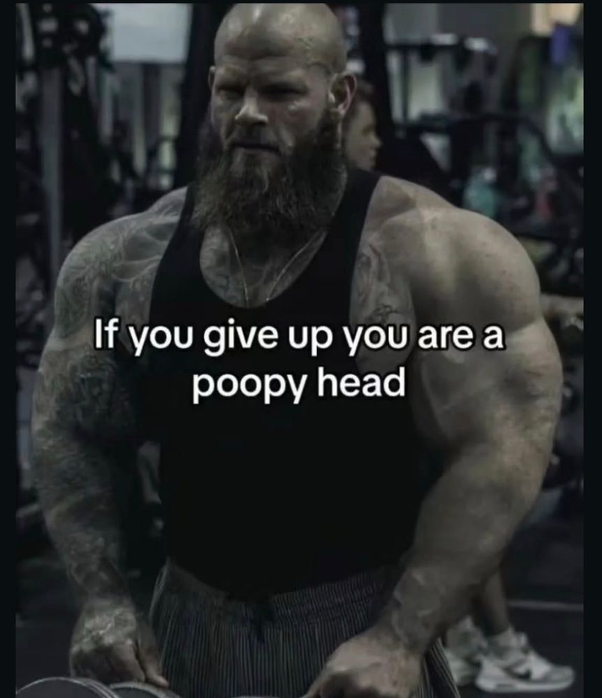 Photo of a man in a gym who is extremely muscular, bald, has a long and thick beard and wears a black tanktop. Text in the middle of the photo reads "If you give up you are a poopy head"