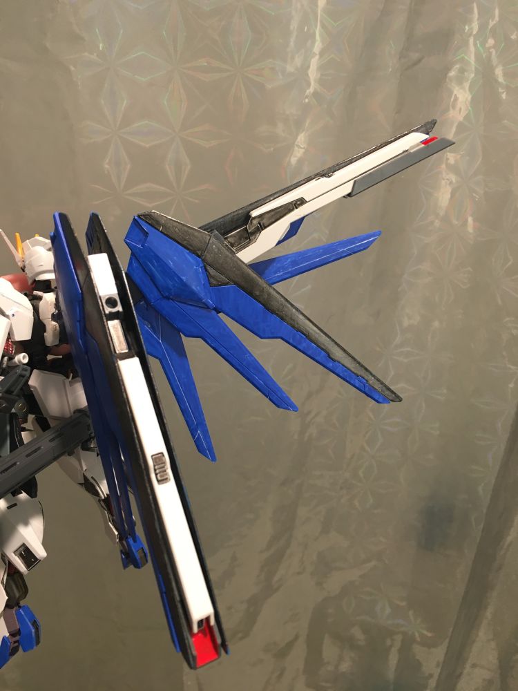 Back view with one wing closed and one open