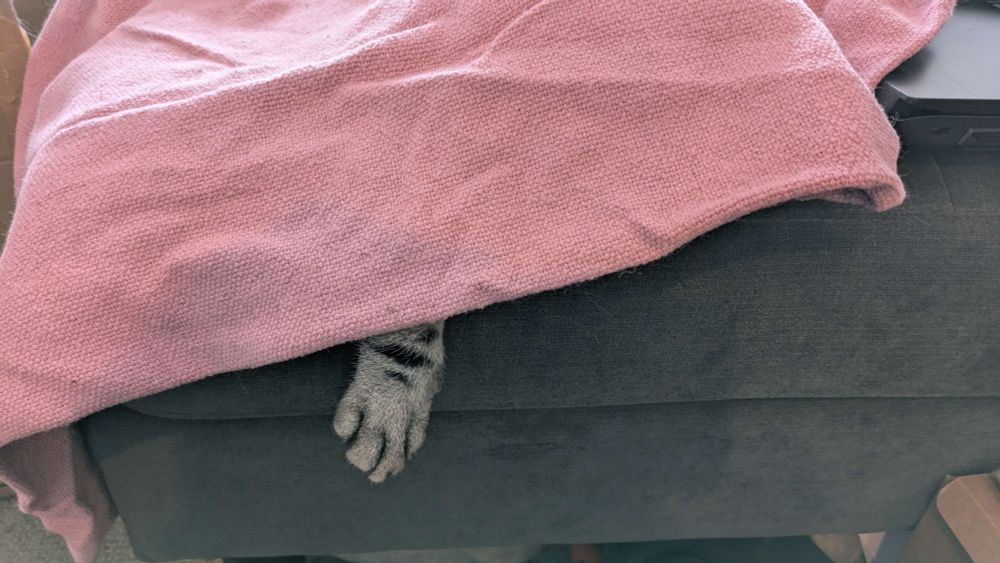 A photo of the corner of a couch with a blanket draped over it. A single cat's paw can be seen sticking out from under the blanket. The rest of the cat cannot be seen. She is well hidden by the blanket.
The blanket is a dusty pink colour, and the cat's paw is silver with black stripes.