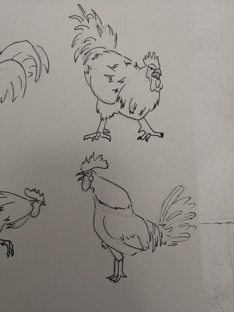Dibujo a lápiz de dos gallos sin mucho detalle, uno encima de otro. El de arriba está agresivo y el de abajo está anunciando el día.