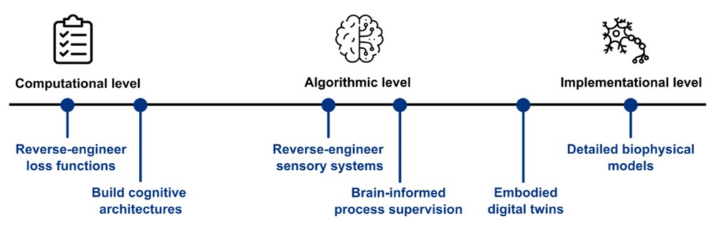 Different paths toward safe AI at different Marr's levels