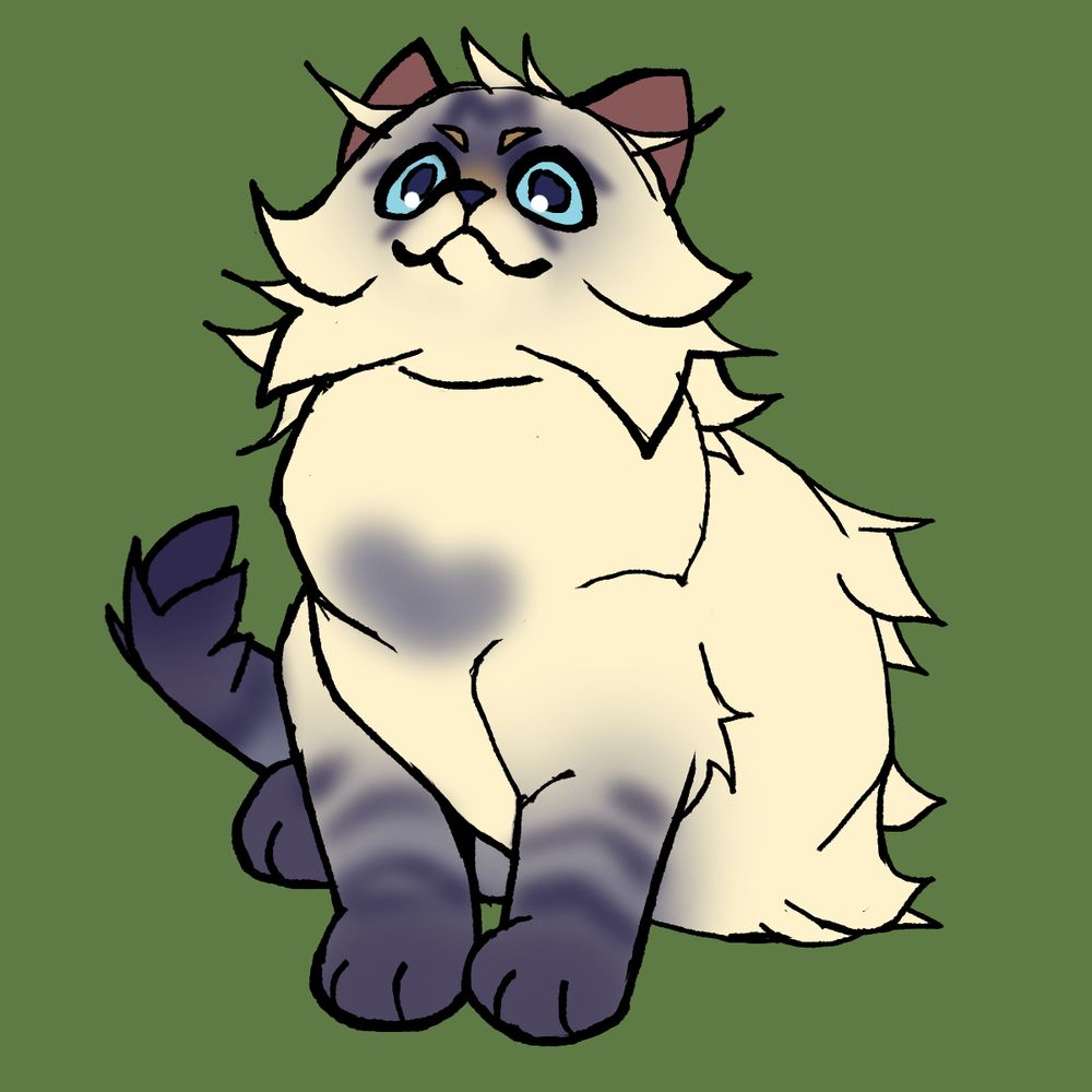 A sketch of a six week old lynx point kitten over a green background