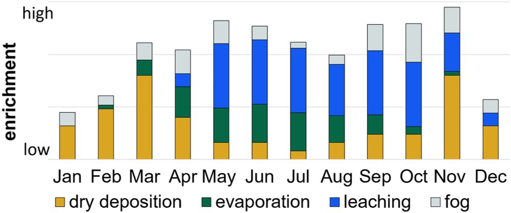 Quantification of enrichment processes in throughfall and stemflow in a mixed temperate forest