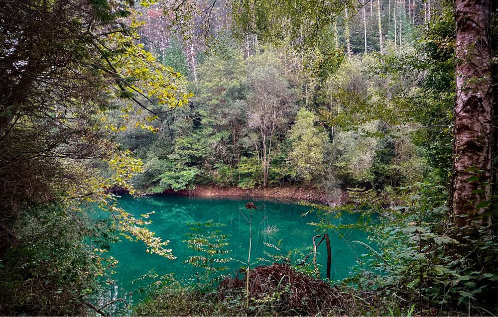 The photo depicts a serene forest landscape. Tall trees with leaves of various colors can be seen, possibly indicating a change of season. In the foreground, there are branches and foliage that frame the view. The most striking feature is an emerald green body of water, which beautifully contrasts with the wooded surroundings. The water appears calm and clear, partially reflecting the environment. Overall, the image evokes a feeling of peace and connection with nature.