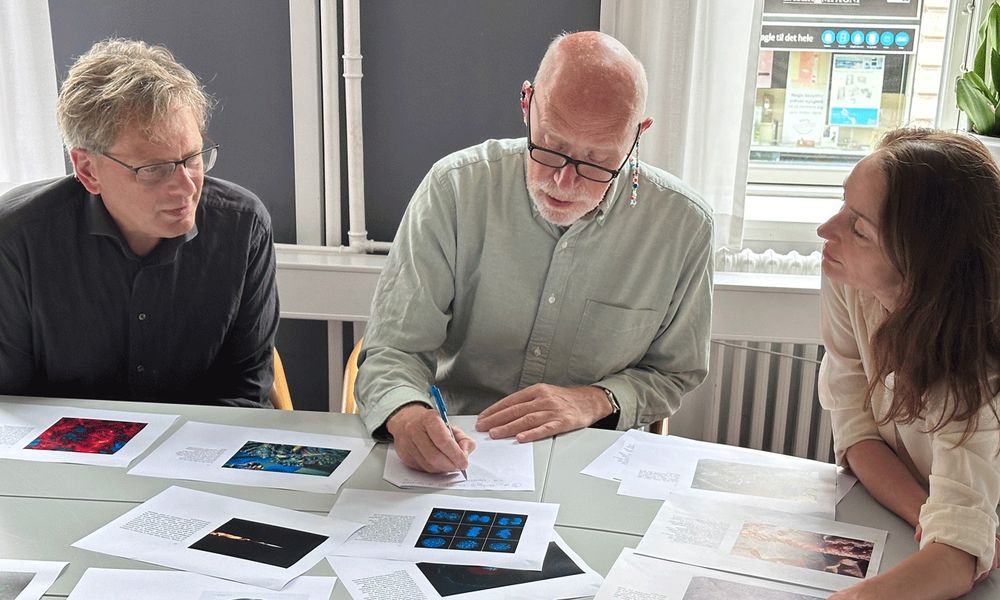 The three judges are voting for the winners of the 2024 DNRF Photo Competition. 