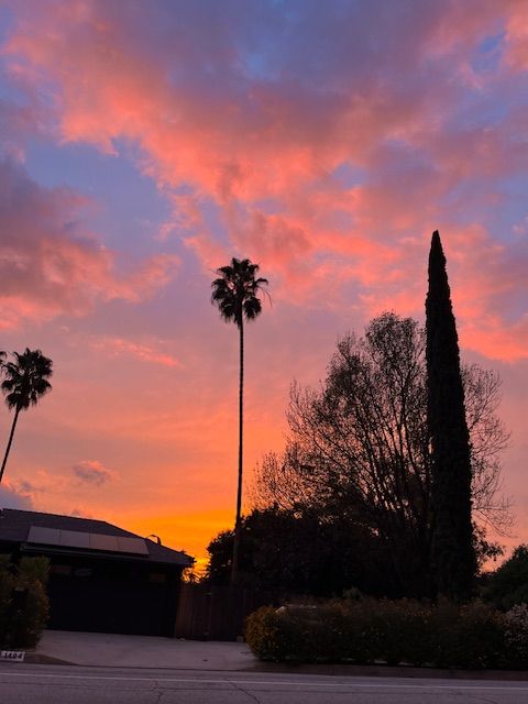 Sunset in Altadena, CA.