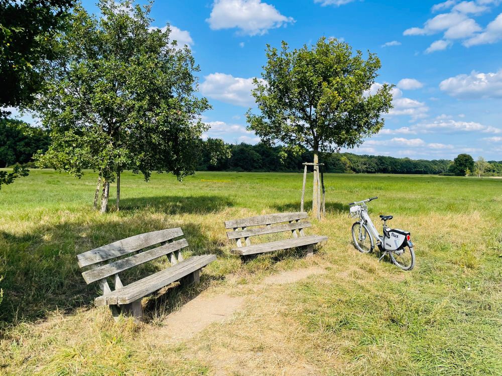 Liegengebliebenes Fahrrad mitten auf Wiese
