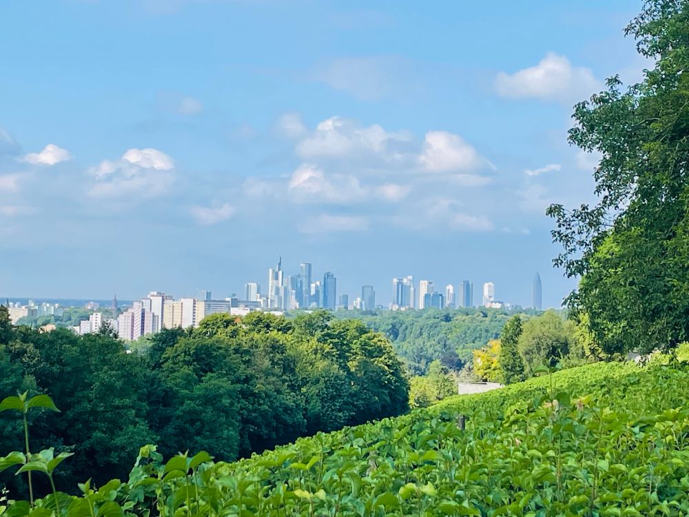 Blick vom Berg auf die Skyline Frankfurt