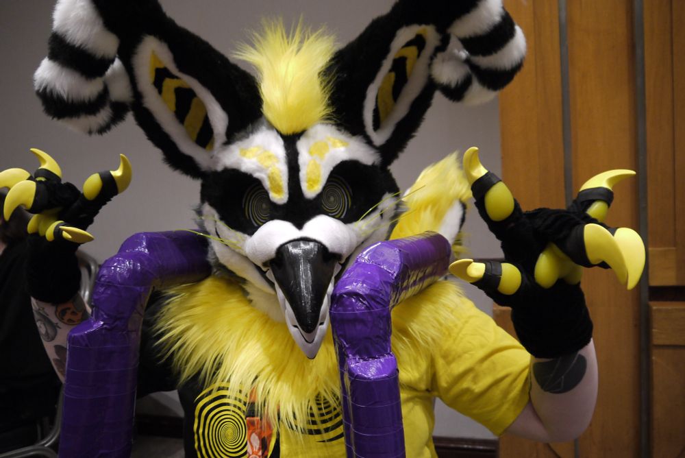 A closer shot of the gryphon fursuit