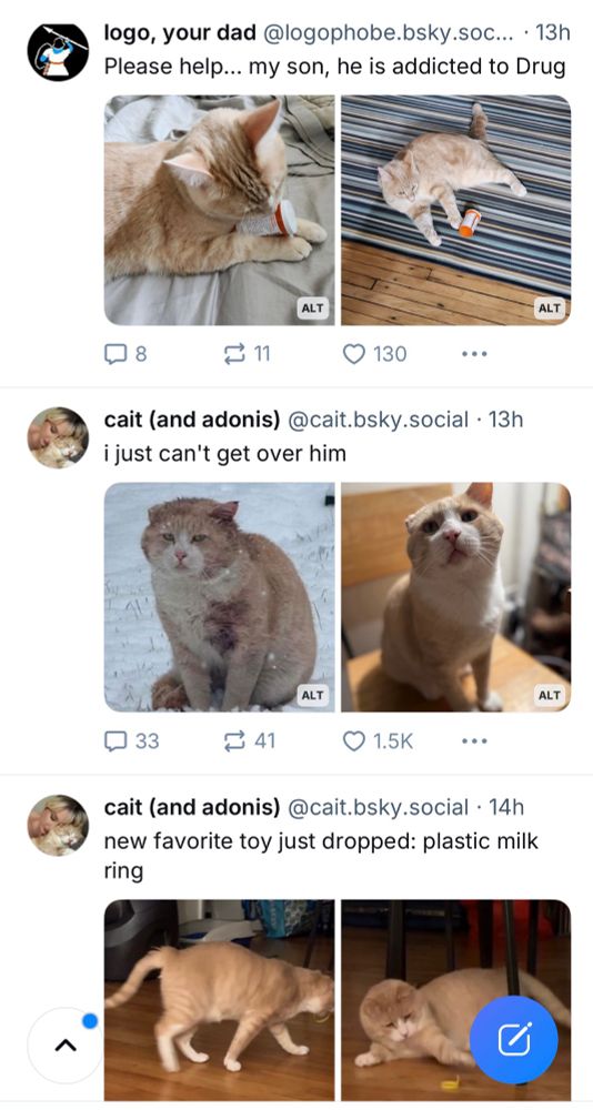 Three posts in a row of an orange cat.